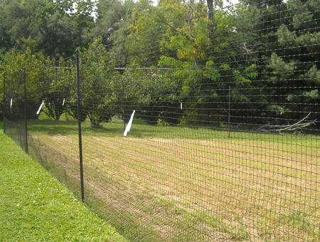 Deer fence netting